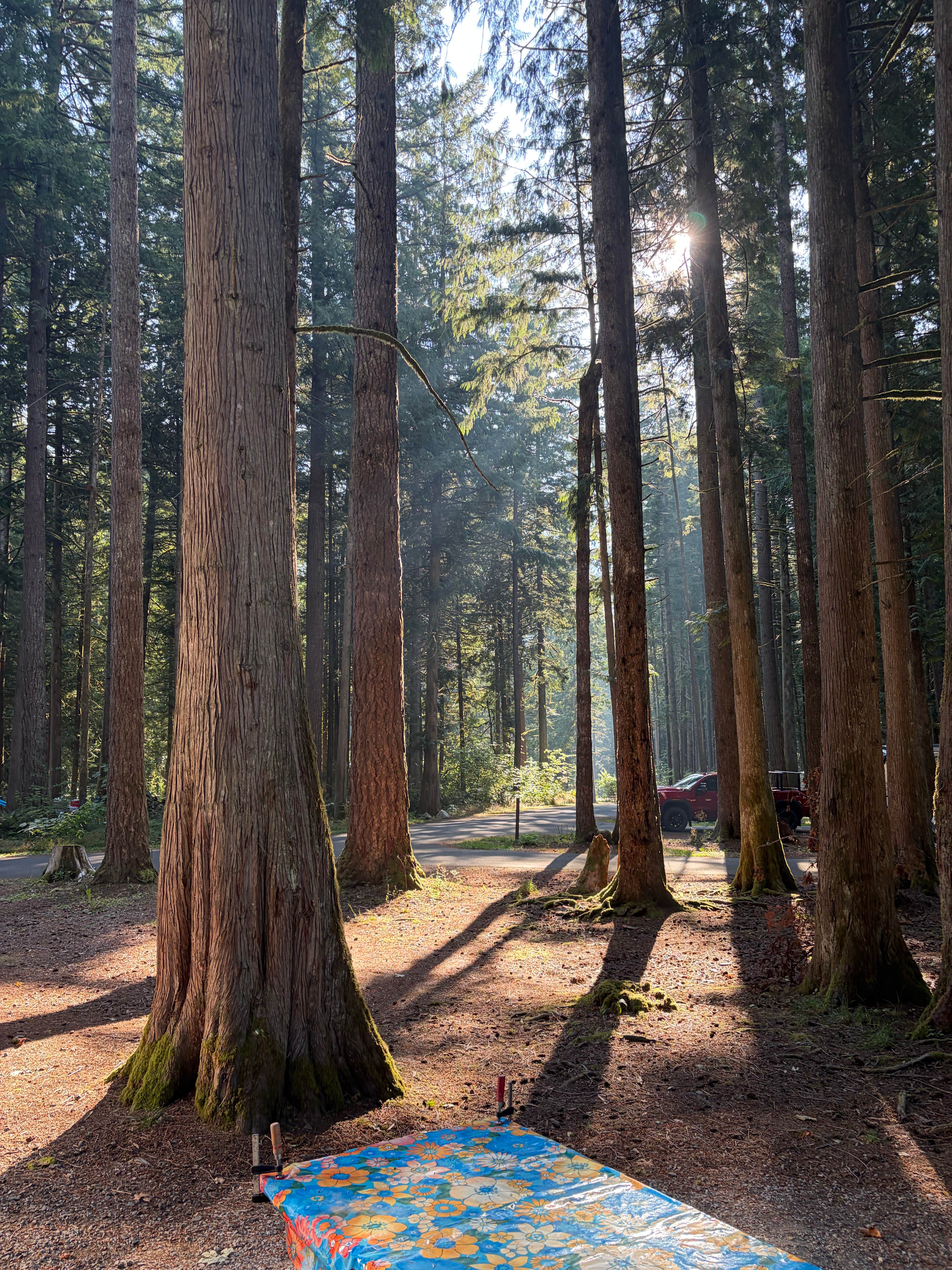 Camper-submitted photo at Silver Lake County Park near Sumas, WA