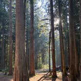 Review photo of Silver Lake County Park by Larry J., August 31, 2026