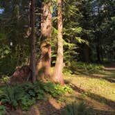 Review photo of Silver Lake County Park by Larry J., August 31, 2026