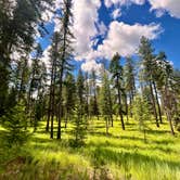 Review photo of Skookum Creek Campground by Erin G., August 16, 2026