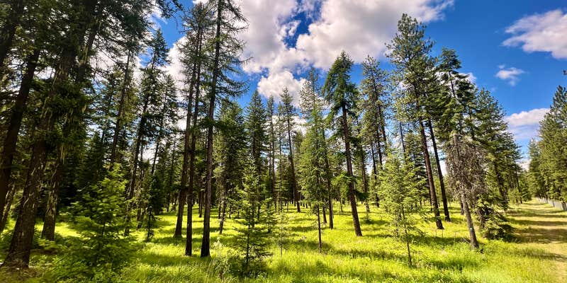 Camper submitted image from Skookum Creek Campground