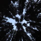 Review photo of Sol Duc Hot Springs Resort Campground — Olympic National Park by Shawna H., July 5, 2026