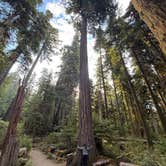 Review photo of Sol Duc Hot Springs Resort Campground — Olympic National Park by Marcus H., August 24, 2026