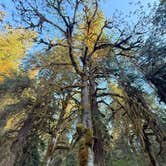 Review photo of Sol Duc Hot Springs Resort Campground — Olympic National Park by Marcus H., August 24, 2026