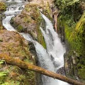 Review photo of Sol Duc Hot Springs Resort Campground — Olympic National Park by marcus K., August 6, 2025