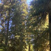 Review photo of South Beach Campground — Olympic National Park by priska W., August 22, 2025