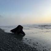 Review photo of South Beach Campground — Olympic National Park by Abrianna M., October 11, 2024