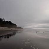 Review photo of South Beach Campground — Olympic National Park by Amy W., September 24, 2026