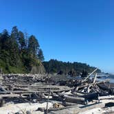 Review photo of South Beach Campground — Olympic National Park by priska W., August 22, 2025