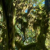 Review photo of South Beach Campground — Olympic National Park by priska W., August 22, 2025