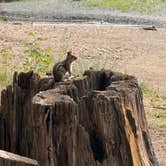 Review photo of South Fork Group Site - Wenatchee Nf (WA) by Lillian H., June 30, 2026