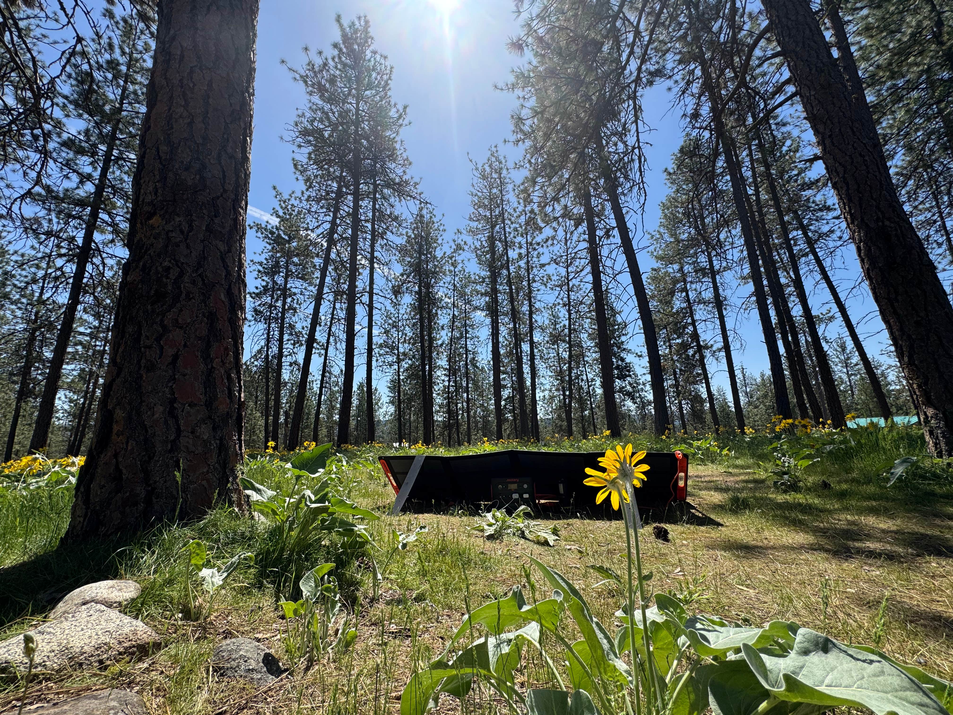 Camper-submitted photo at Lake Spokane Campground—Riverside State Park near Nine Mile Falls, WA