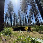 Review photo of Lake Spokane Campground—Riverside State Park by Cable A., October 20, 2025