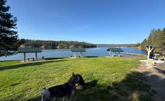 Cable A.'s photo of camping with pets at Lake Spokane Campground—Riverside State Park near Tumtum, WA