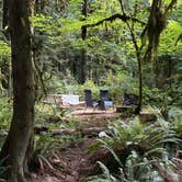 Review photo of Squire Creek Park & Campground by Patti C., July 8, 2025