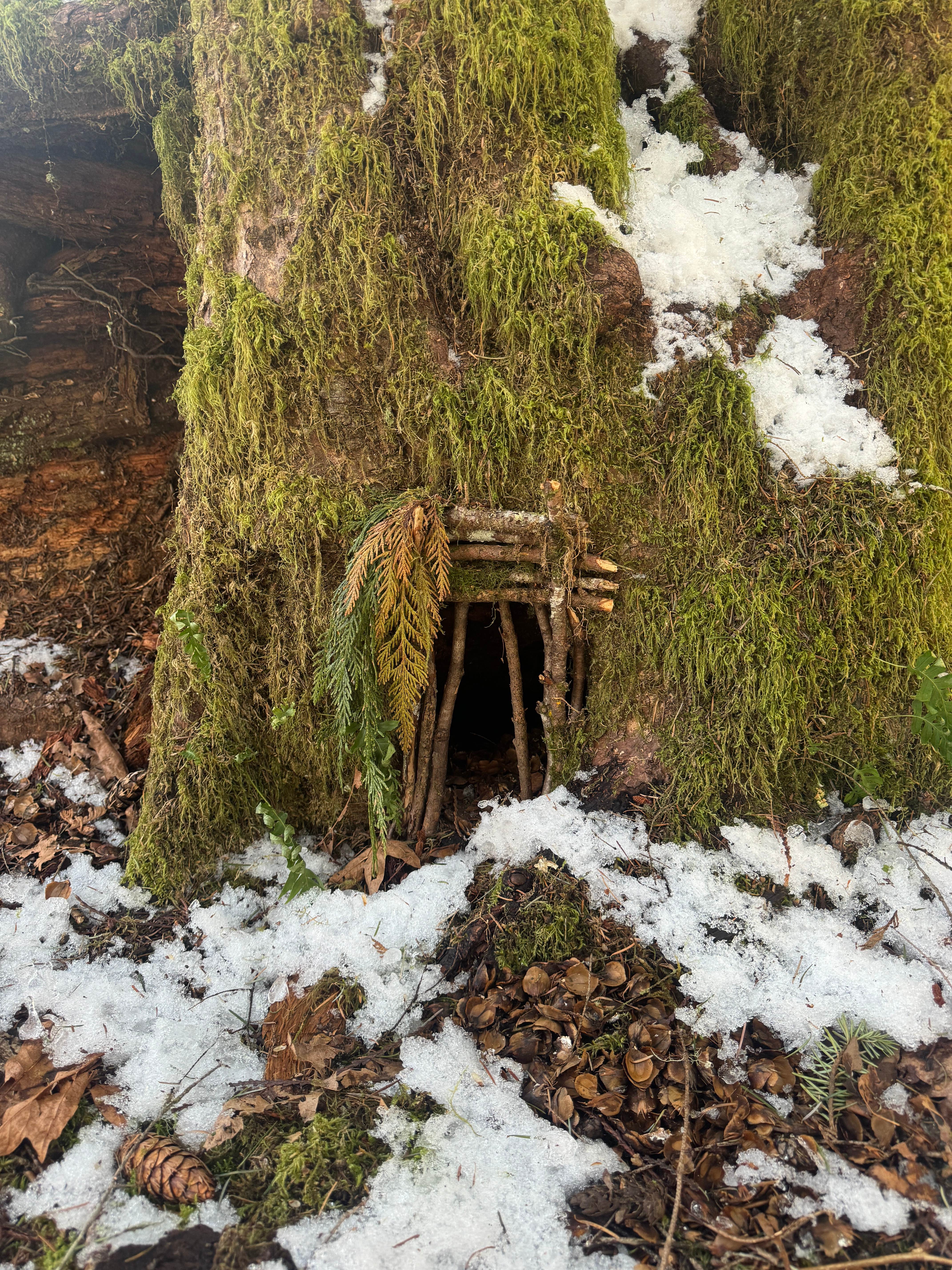 Camper-submitted photo at Squire Creek Park & Campground near Everett, WA