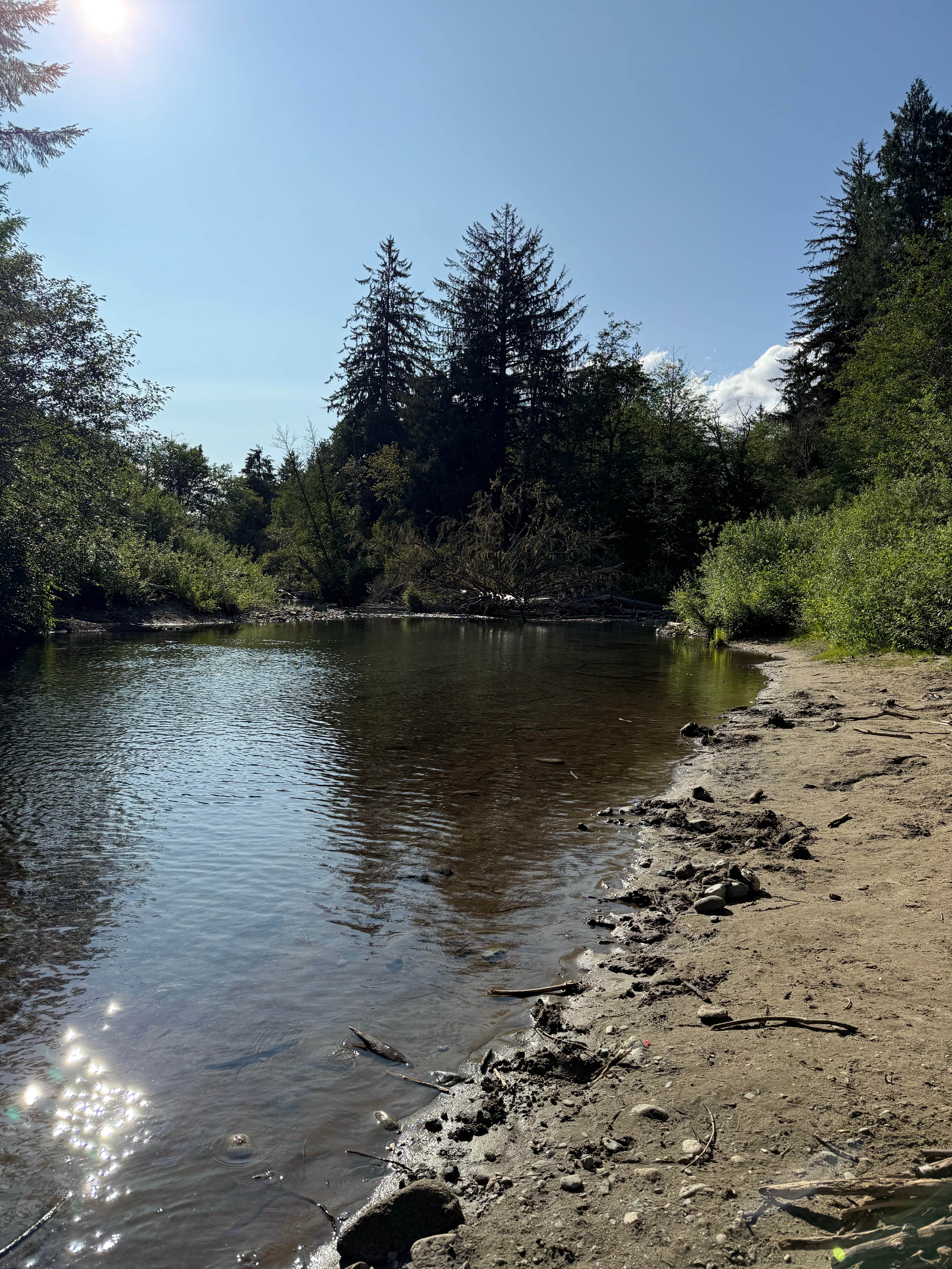 Camper-submitted photo at Squire Creek Park & Campground near Mt. Baker-Snoqualmie National Forest