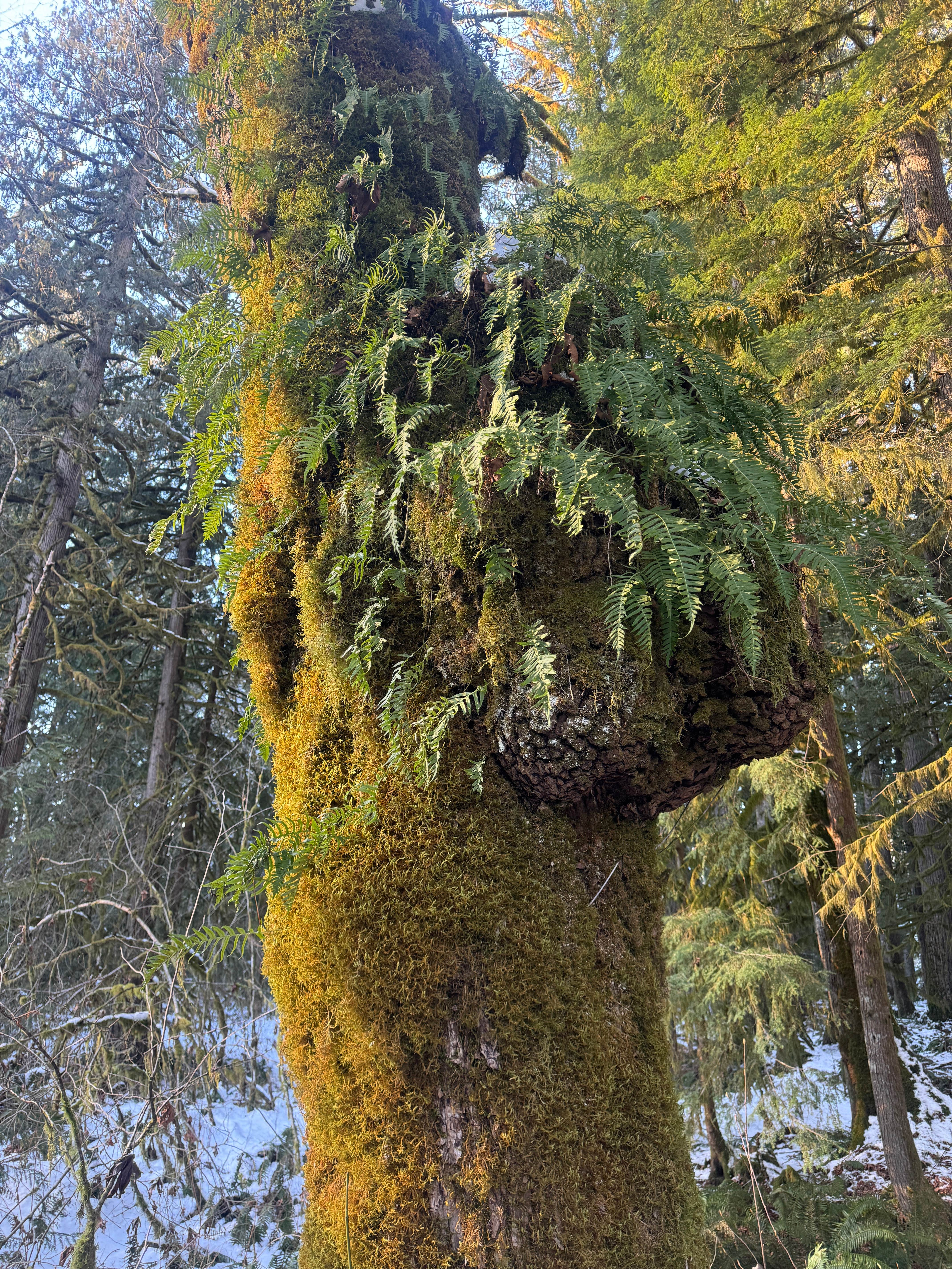 Camper-submitted photo at Squire Creek Park & Campground near Everett, WA