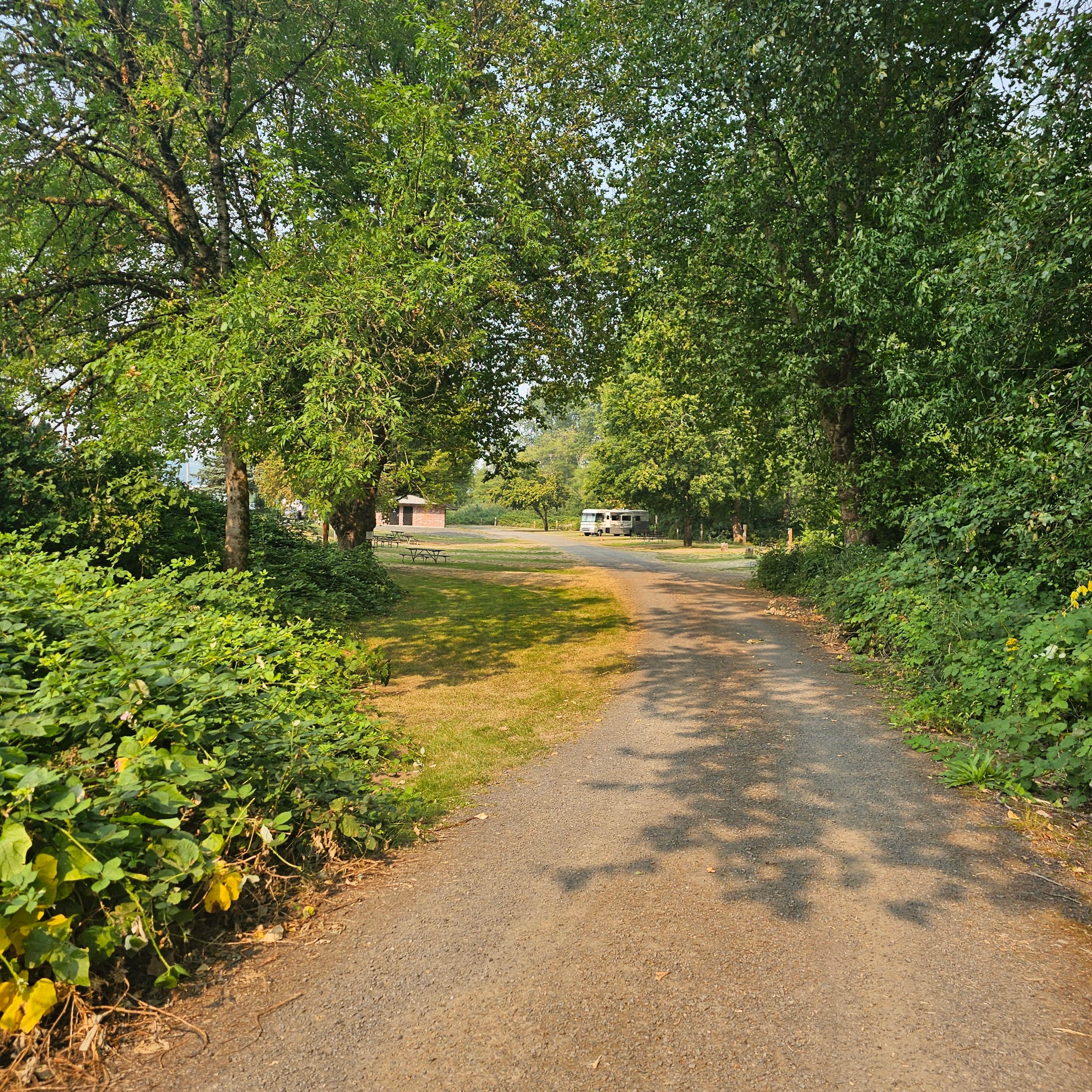 Camper-submitted photo at Stan Hedwall Park near Centralia, WA
