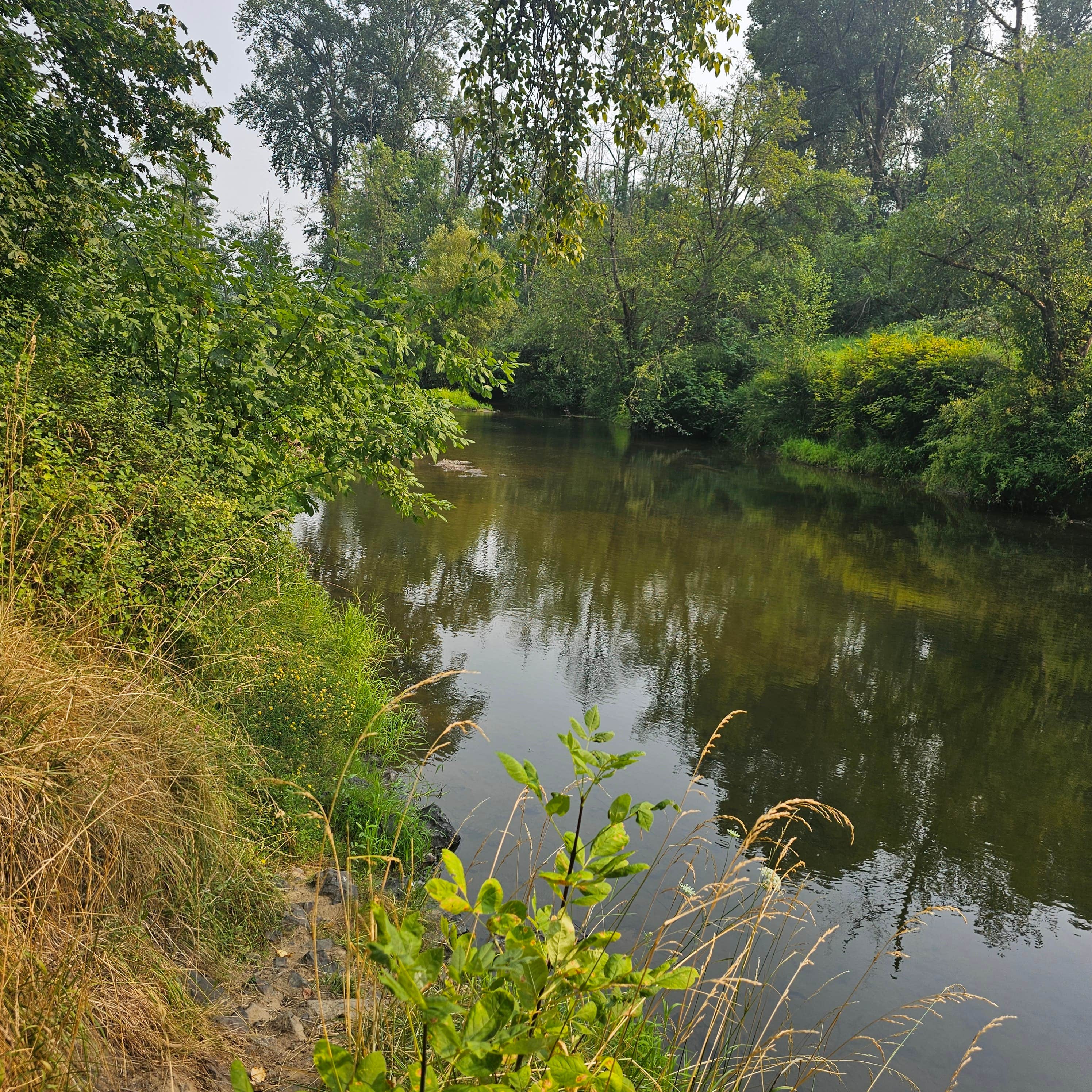 Camper-submitted photo at Stan Hedwall Park near Centralia, WA