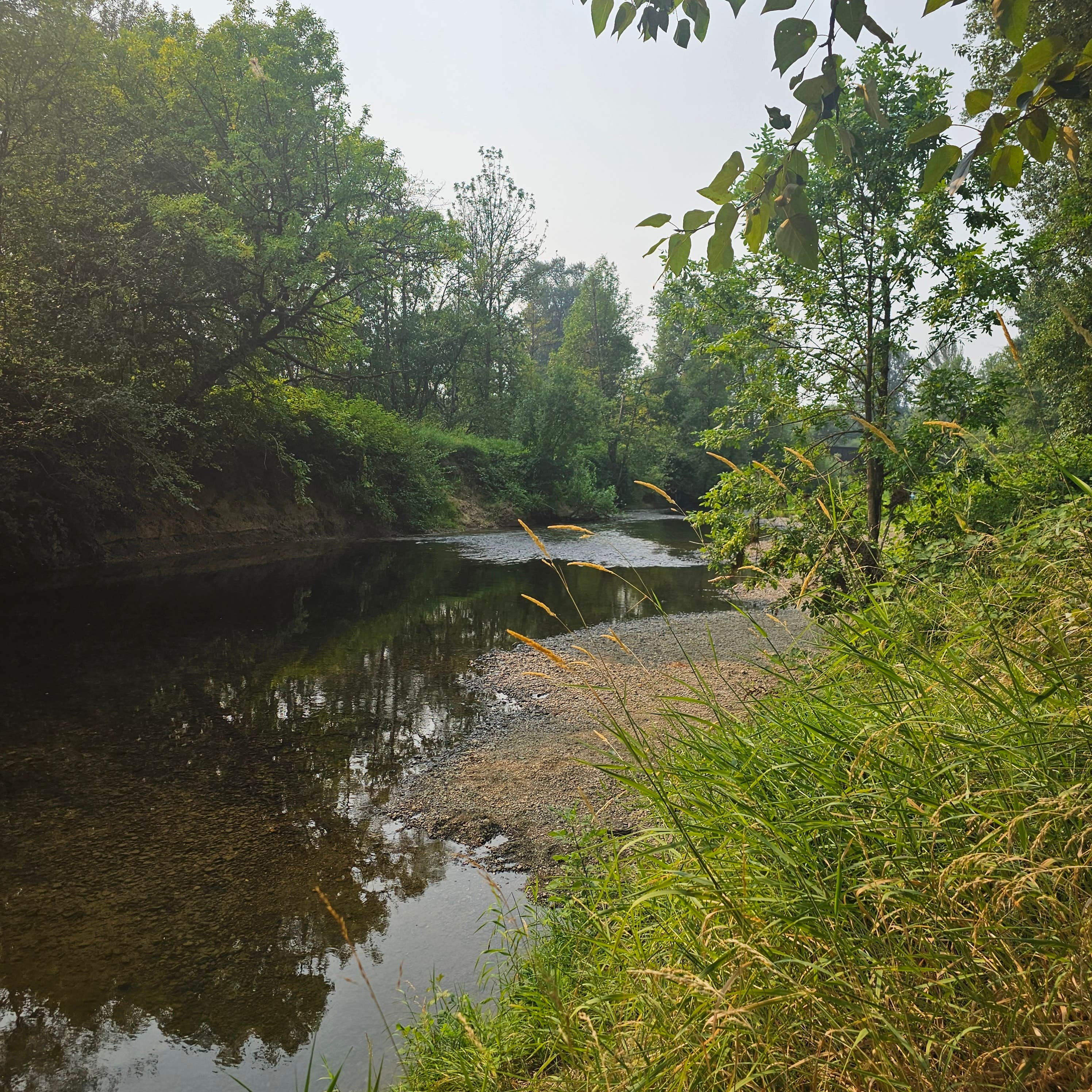 Camper-submitted photo at Stan Hedwall Park near Centralia, WA