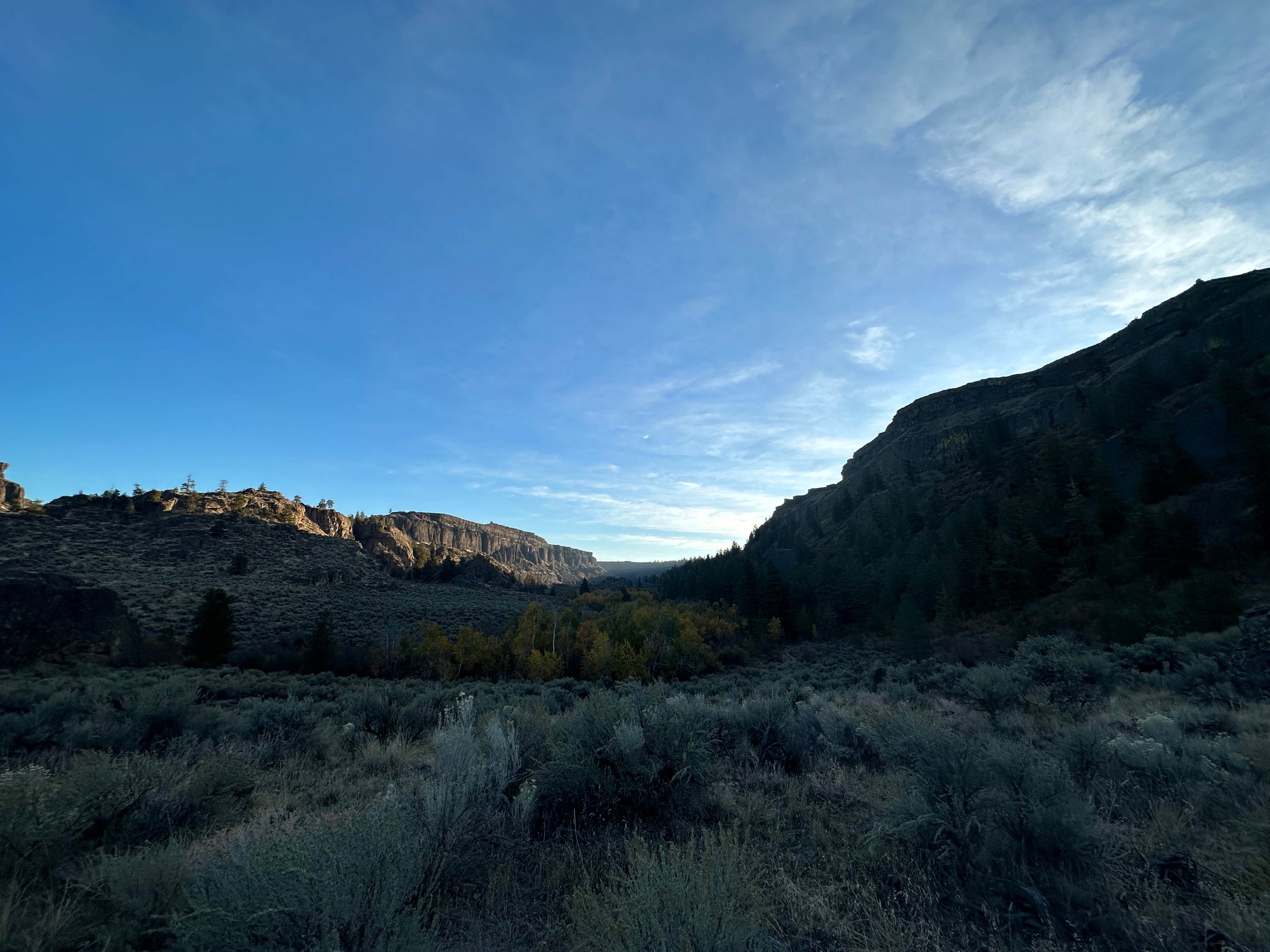 Camper submitted image from Steamboat Lake Campground - 2