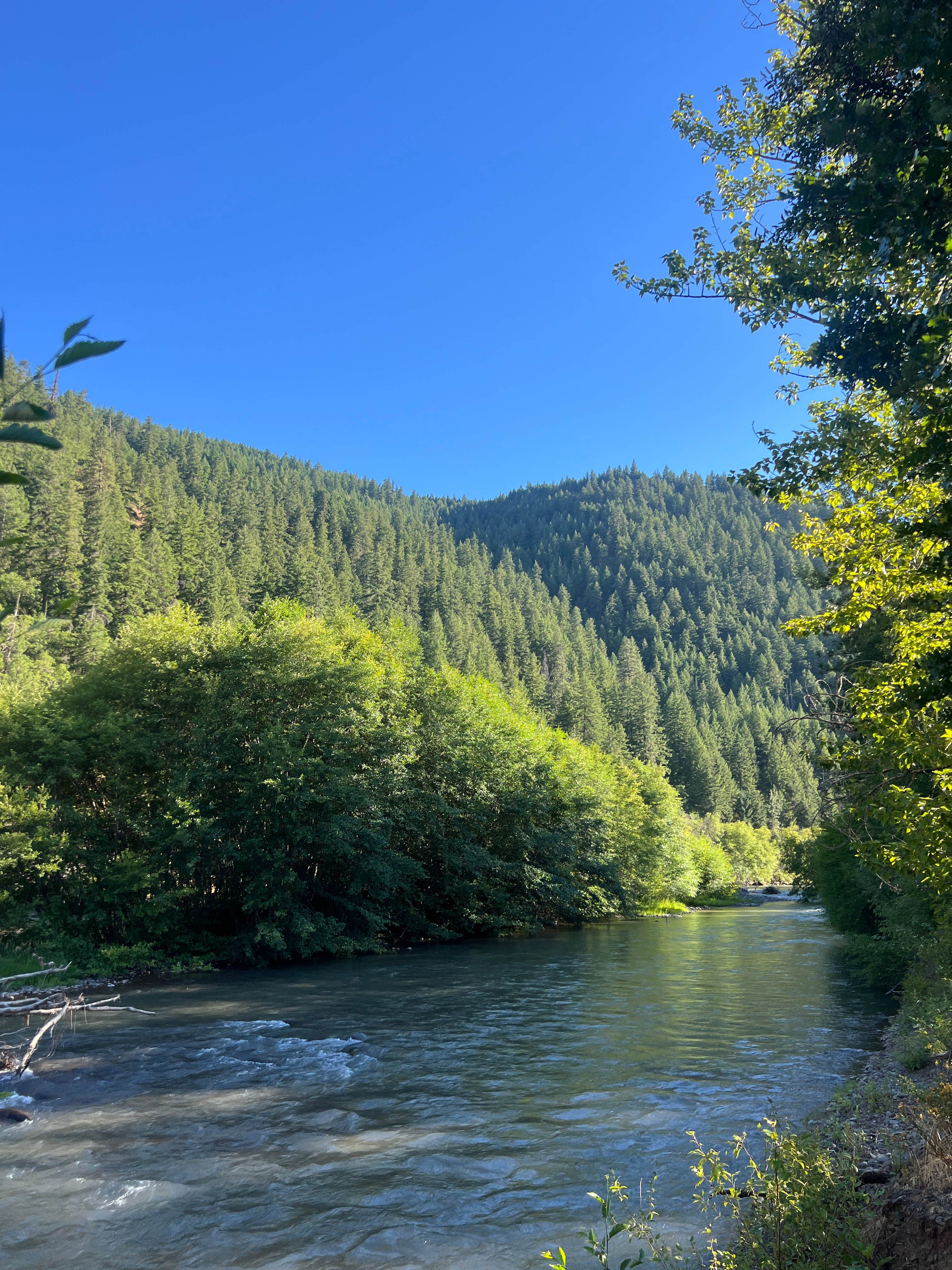 Stinson Flats