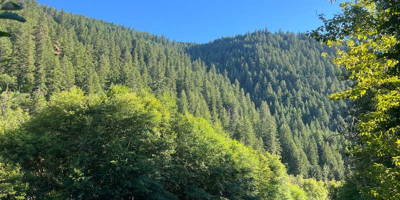 Camper submitted image from Stinson Flats