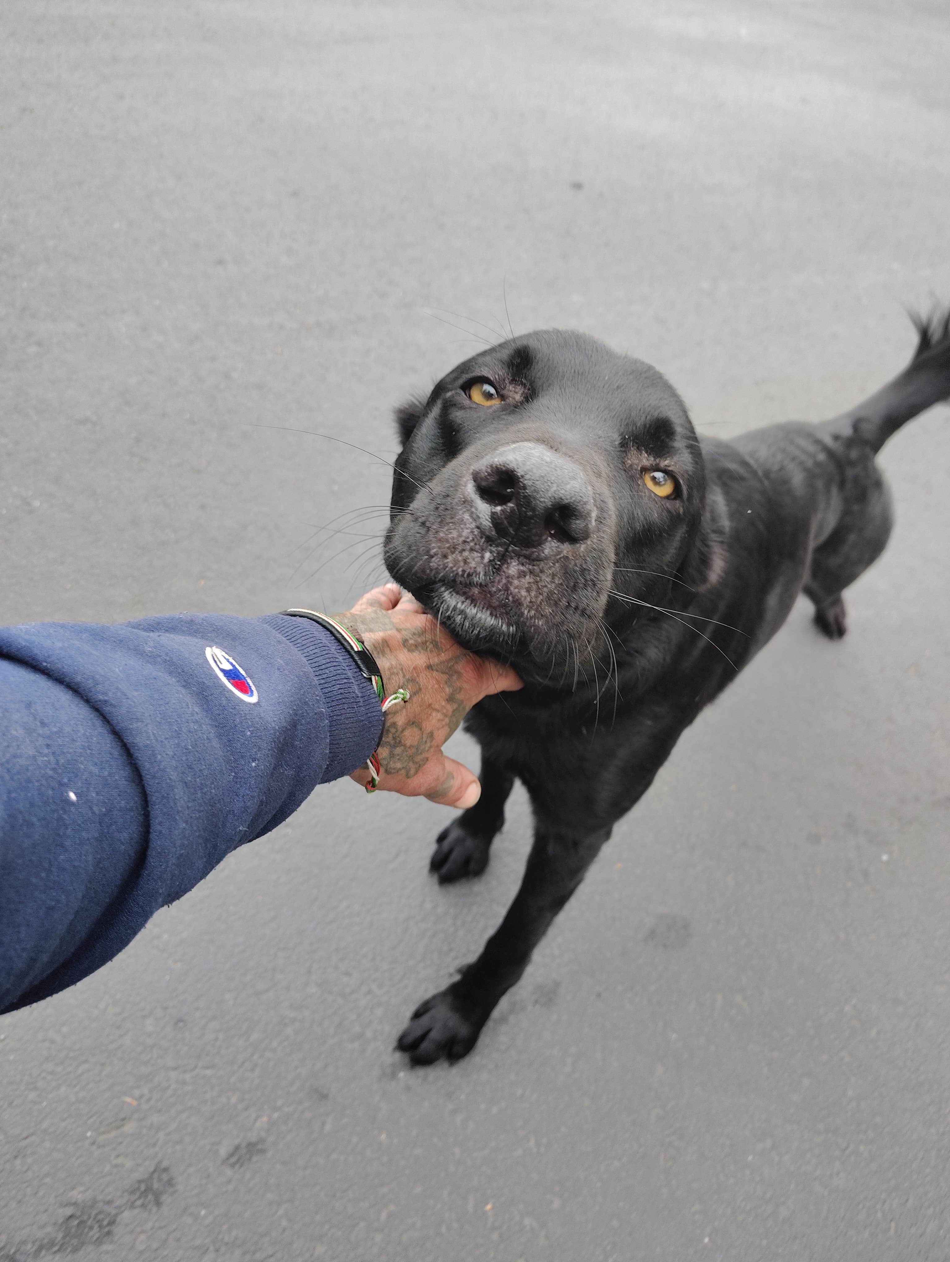 Camper-submitted photo at Sundale Park Primitive Campground near Mikkalo, OR