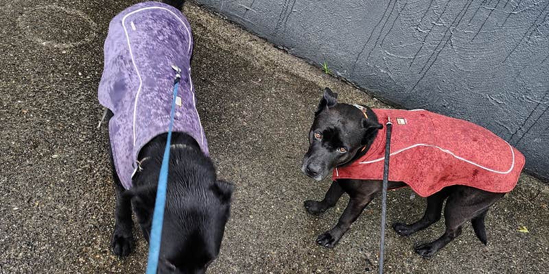 Camper submitted image from Sundale Park Primitive Campground