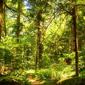 Review photo of Tinkham Campground by Sabriena E., July 16, 2026