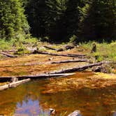 Review photo of Tinkham Campground by Sabriena E., July 16, 2026