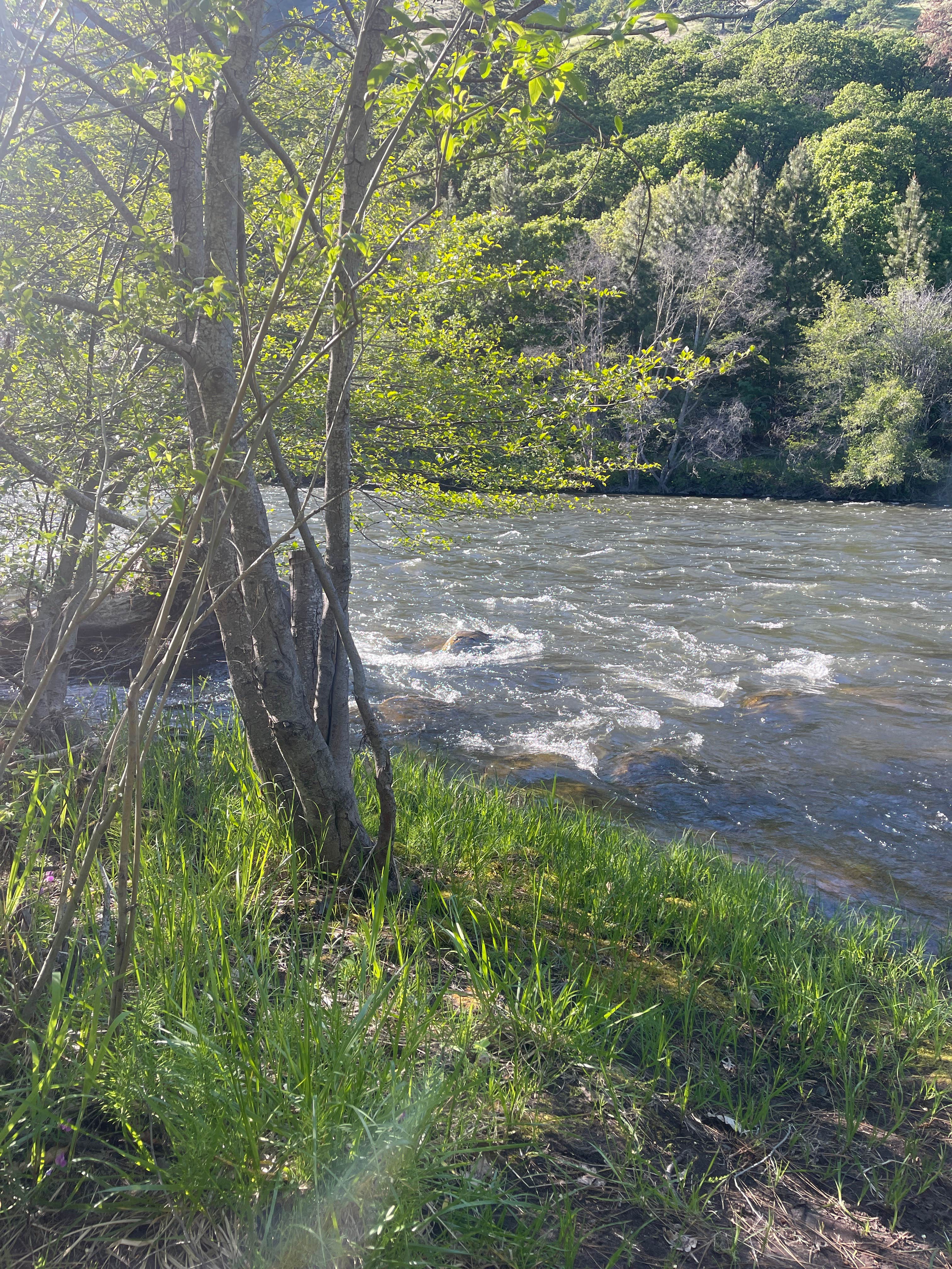 Camper-submitted photo at Turkey Hole near Klickitat, WA