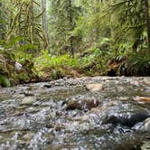 Review photo of Twanoh State Park Campground by Justin L., January 15, 2025