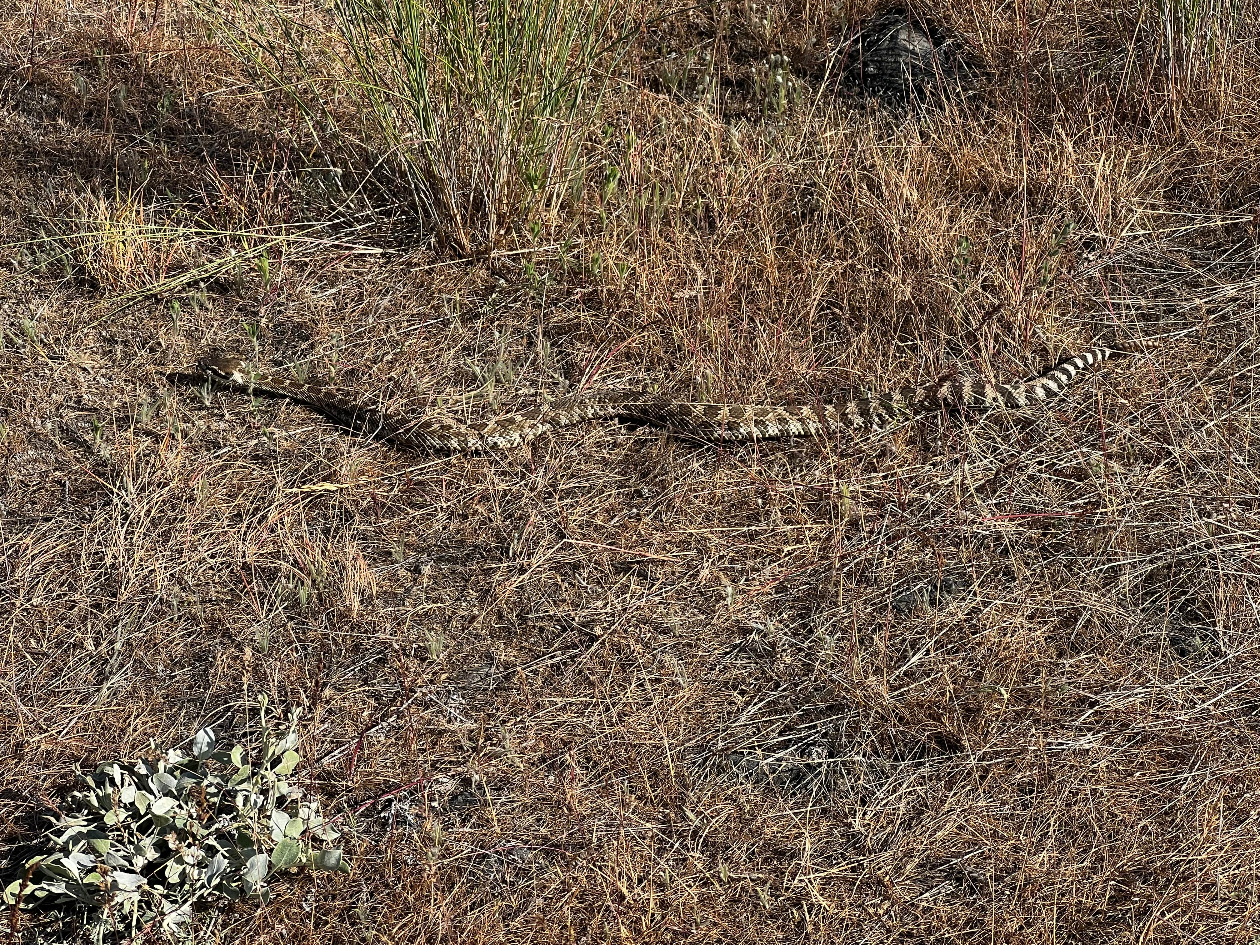 Camper-submitted photo at Twin Lakes near Odessa, WA