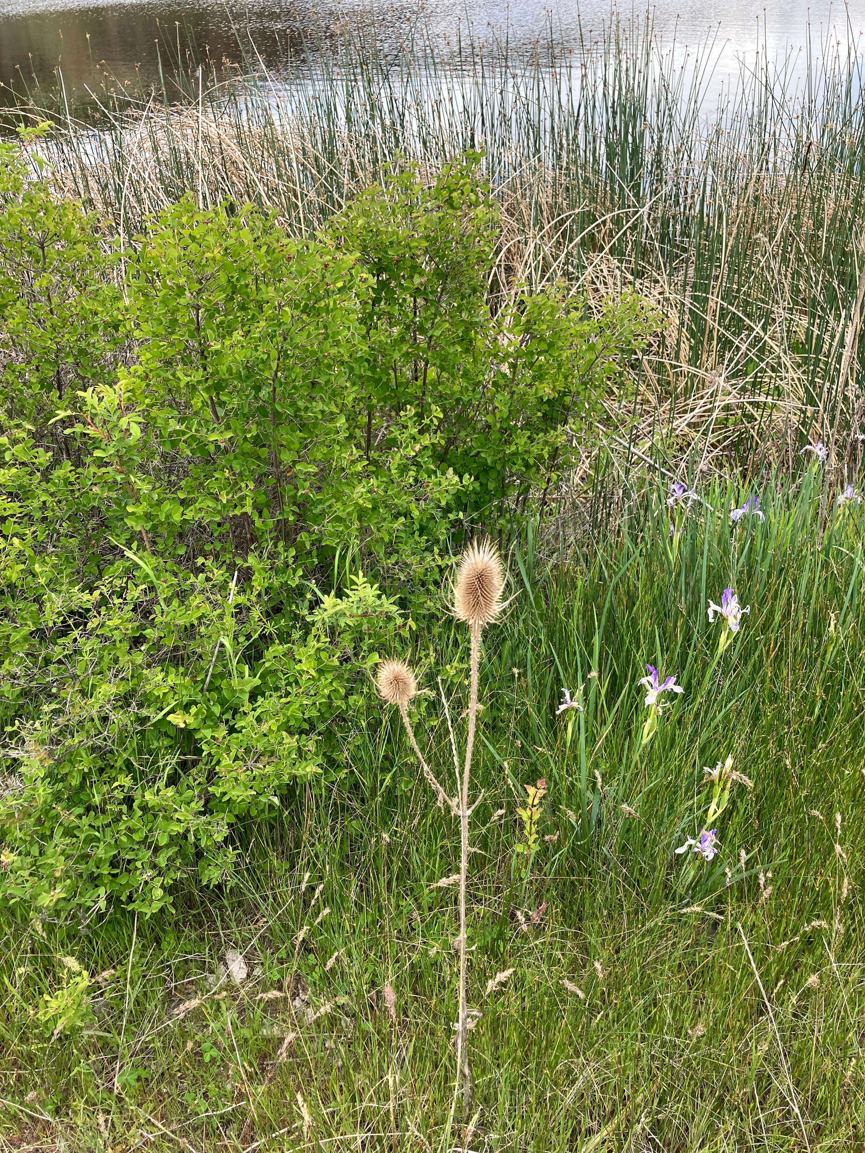 Camper-submitted photo at Twin Lakes near Odessa, WA