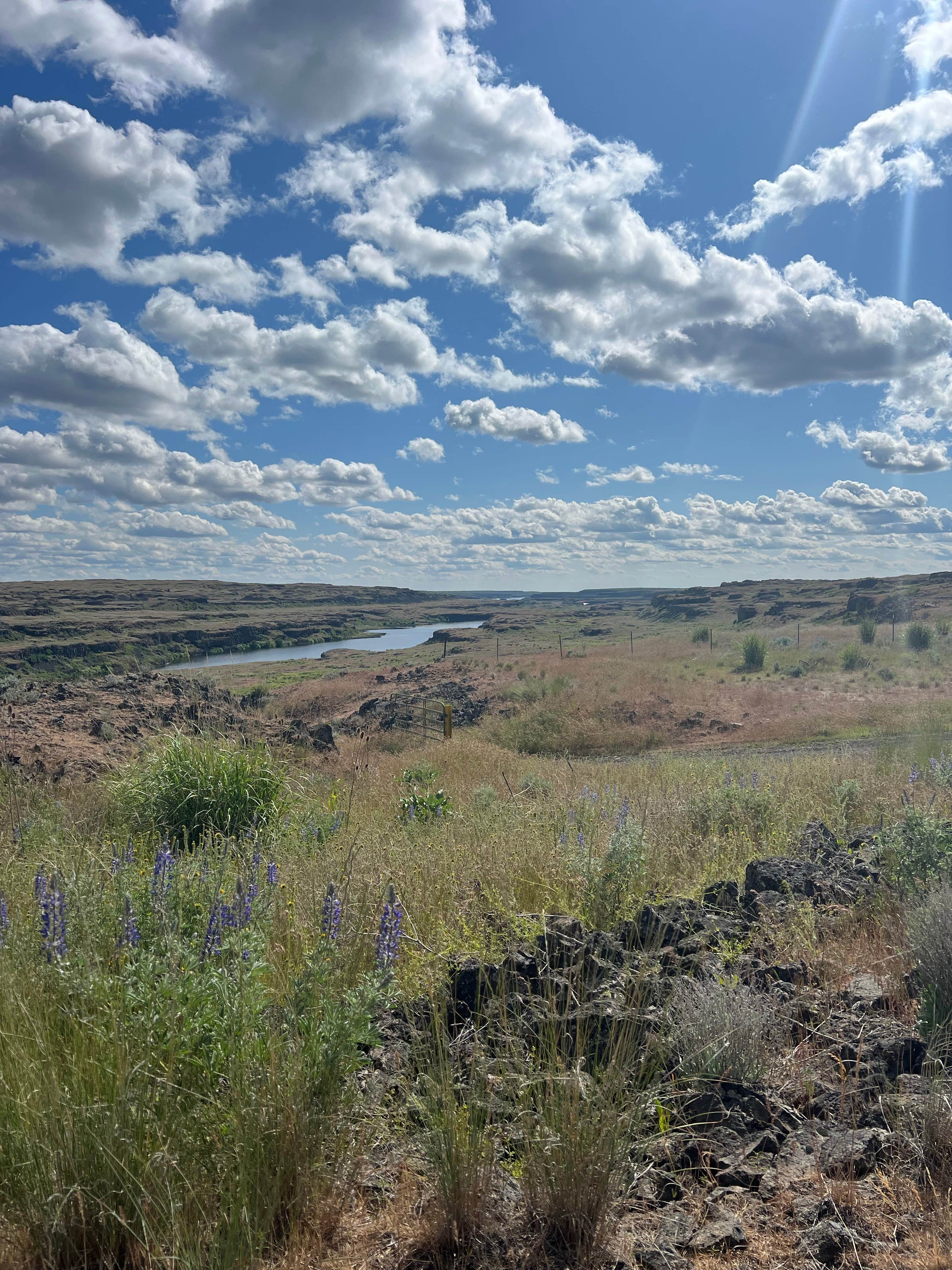 Camper-submitted photo at Twin Lakes near Odessa, WA