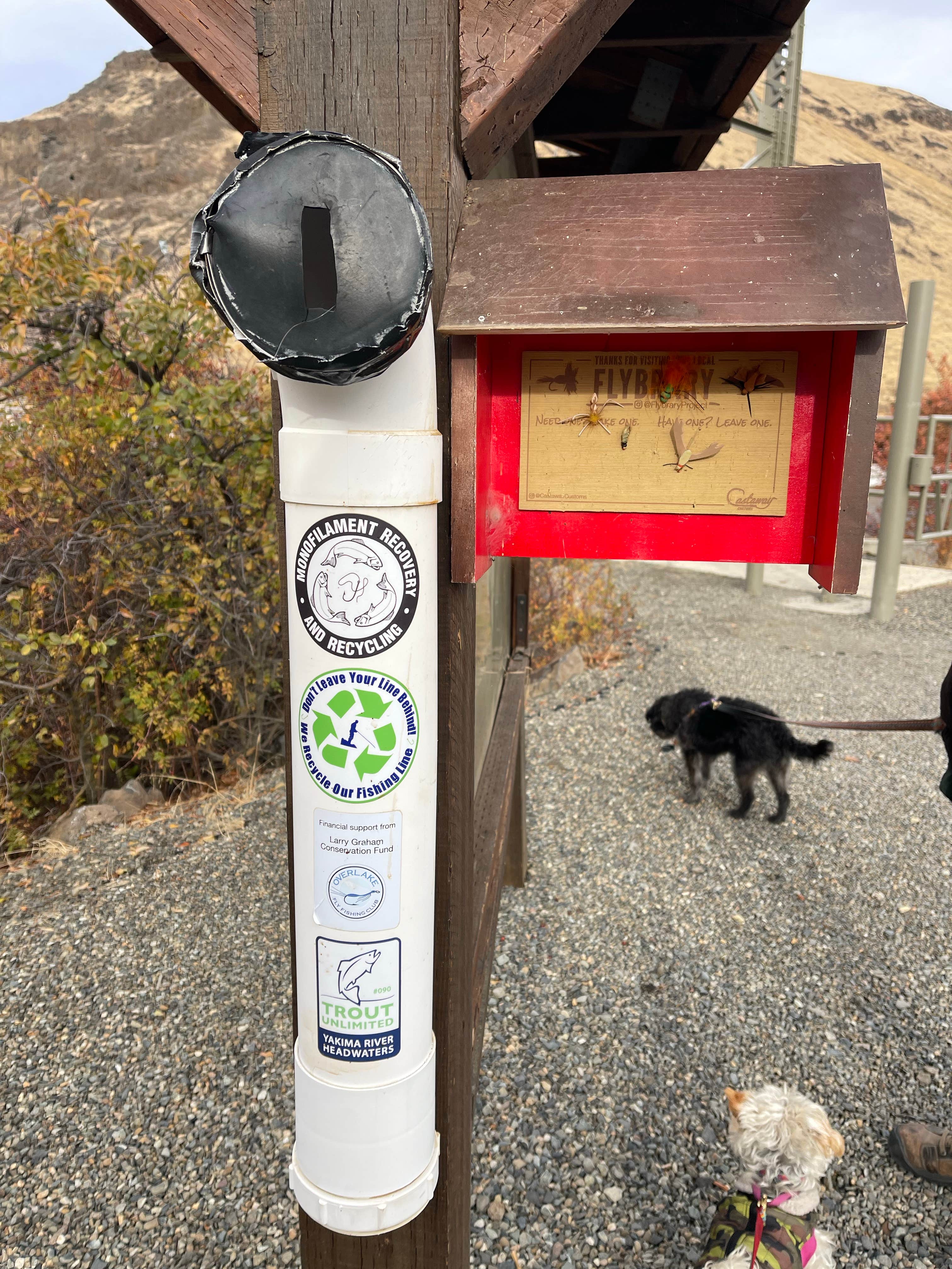 cindy's photo of camping with pets at Umtanum Campground - Yakima River Canyon near Yakima, WA