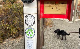 cindy's photo of camping with pets at Umtanum Campground - Yakima River Canyon near Naches, WA