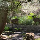 Review photo of Washington Park Campground by Paul B., May 30, 2026