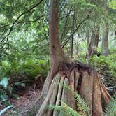 Review photo of Washington Park Campground by Kim G., July 7, 2025