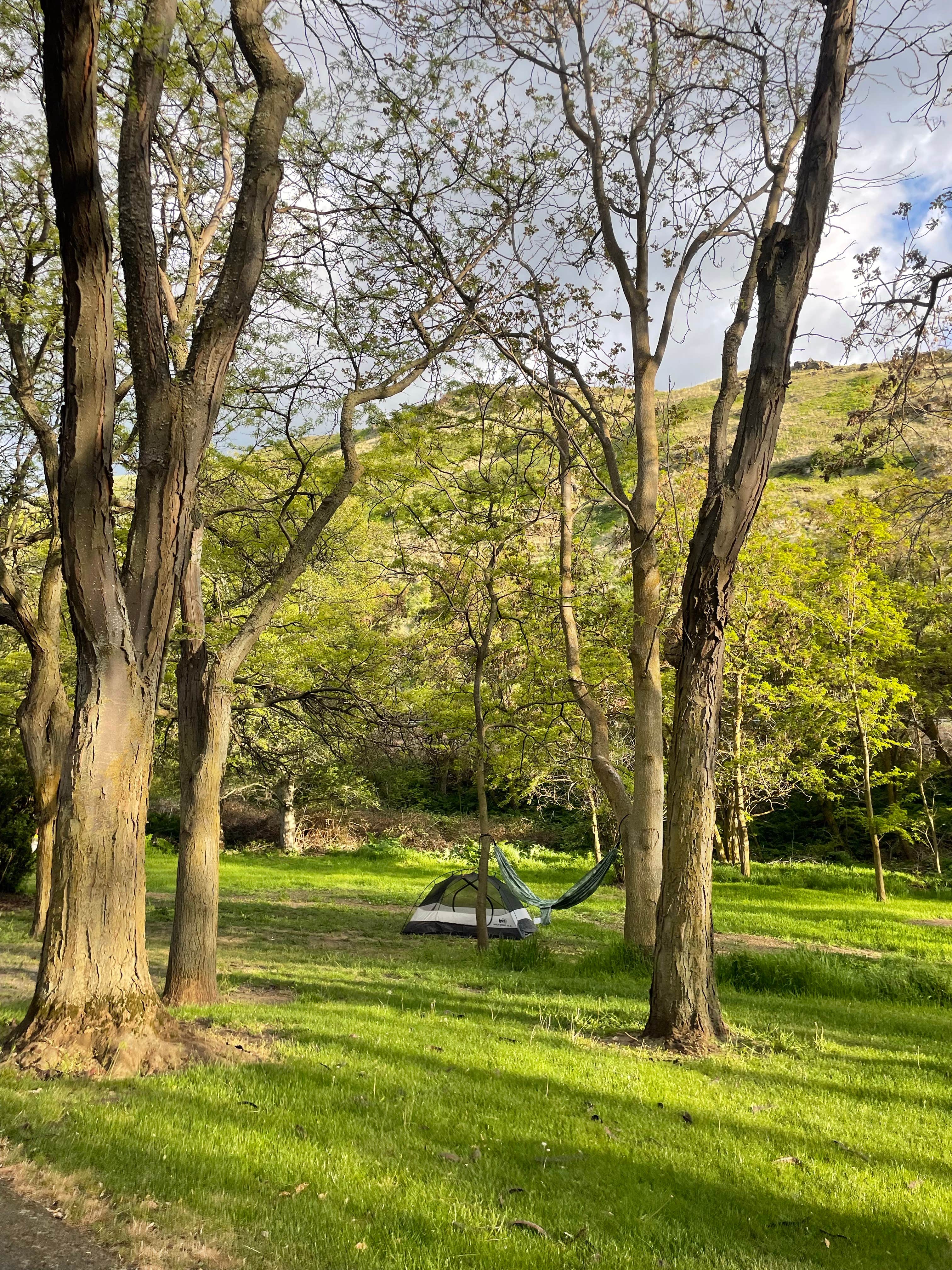 Camper submitted image from Wawawai County Park - 5