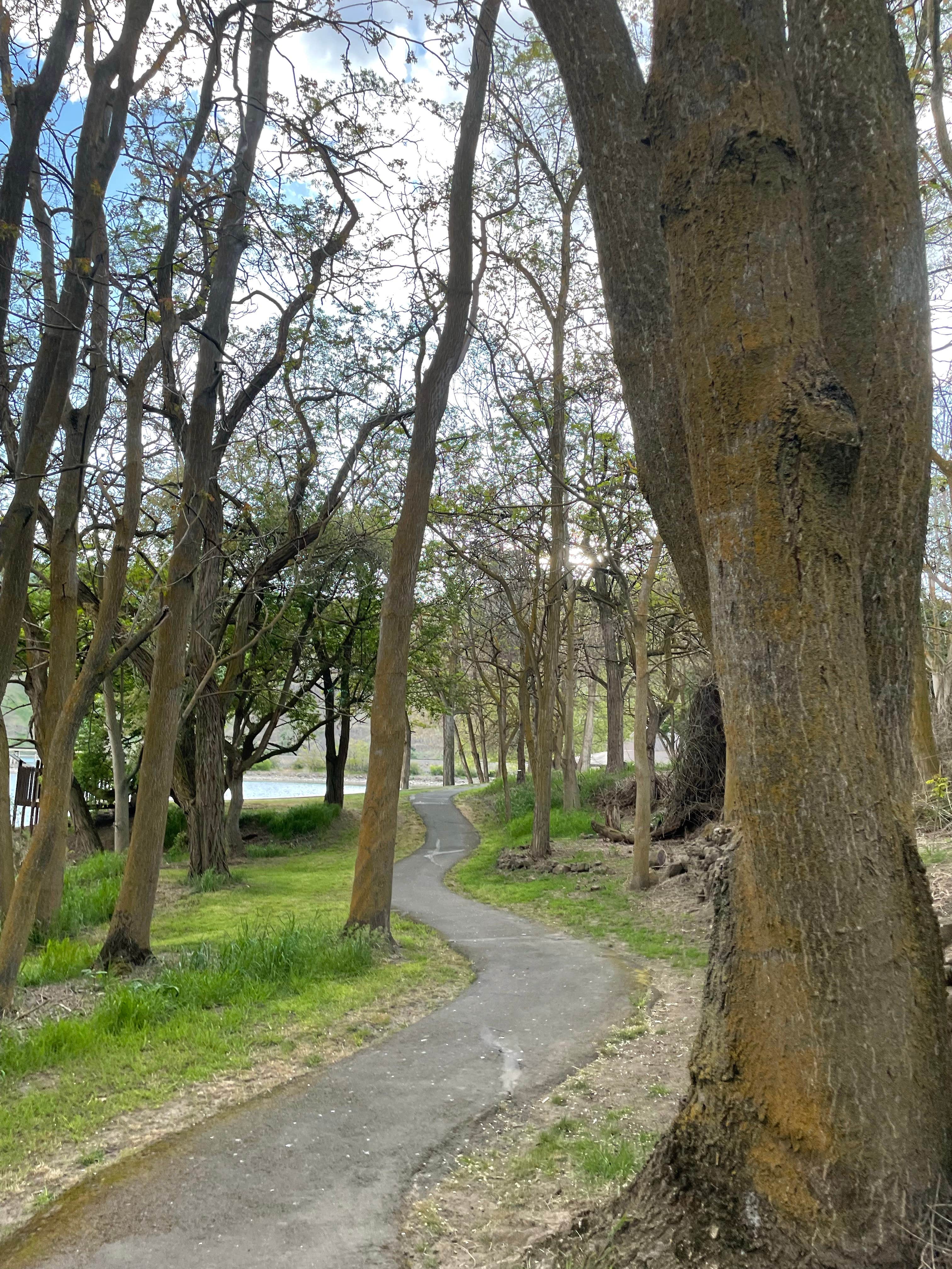Camper-submitted photo at Wawawai County Park near Moscow, ID