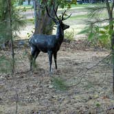 Review photo of Wenatchee River County Park by Don M., August 10, 2025