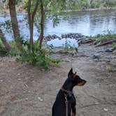 Review photo of Wenatchee River County Park by Don M., August 10, 2025