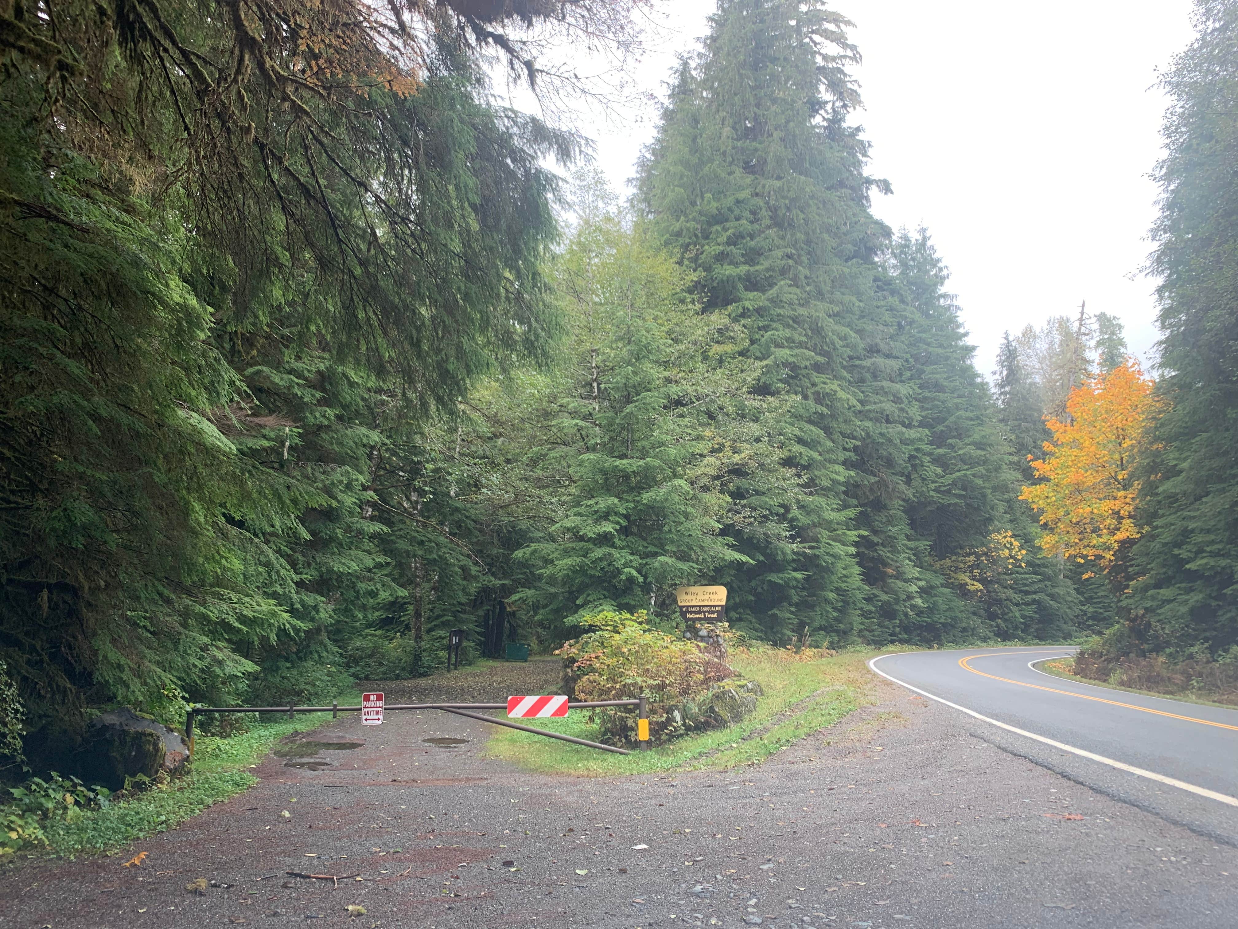 Camper submitted image from Wiley Creek Group Camp - 3