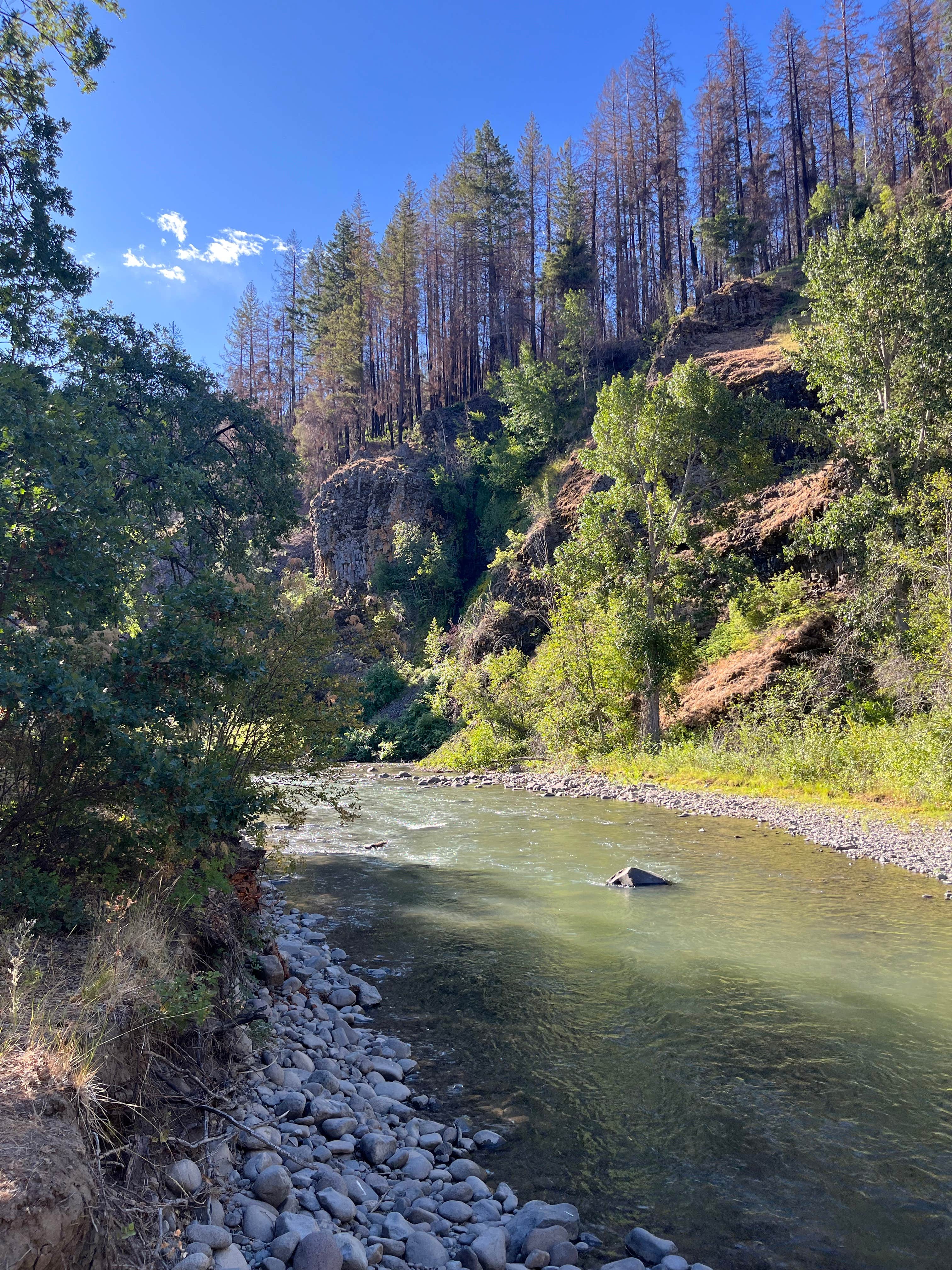 Camper-submitted photo at Windy Point Campground near Ellensburg, WA