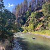 Review photo of Windy Point Campground by DuBois , July 13, 2025