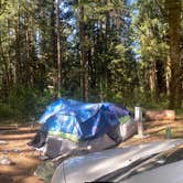 Review photo of Winston Creek Campground by Shamra S., May 1, 2024