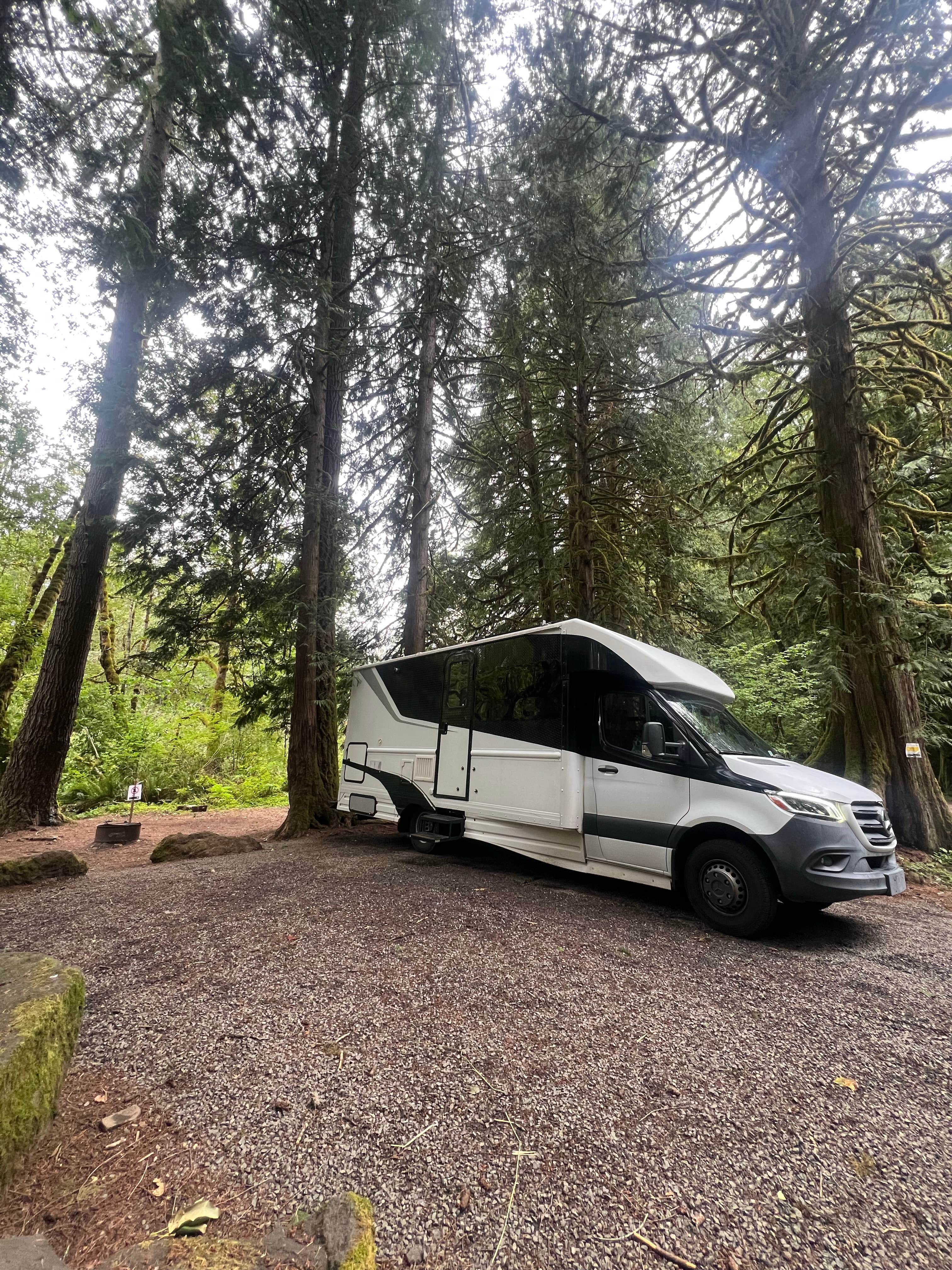 Camper-submitted photo at Winston Creek Campground near Mossyrock, WA
